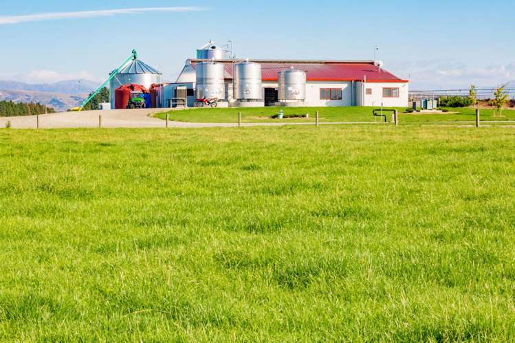 2247 Tinwald Westerfield Mayfield Road_0