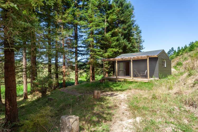 536 Morgan Road Richmond Downs_23