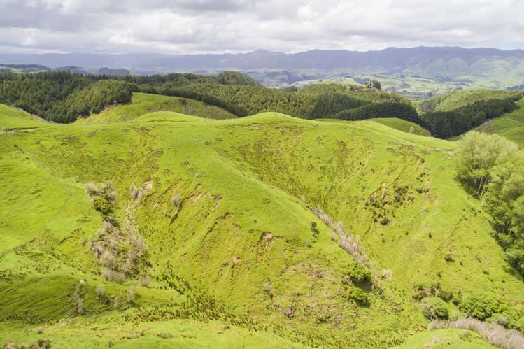 648 Finnis Road Pohangina_16