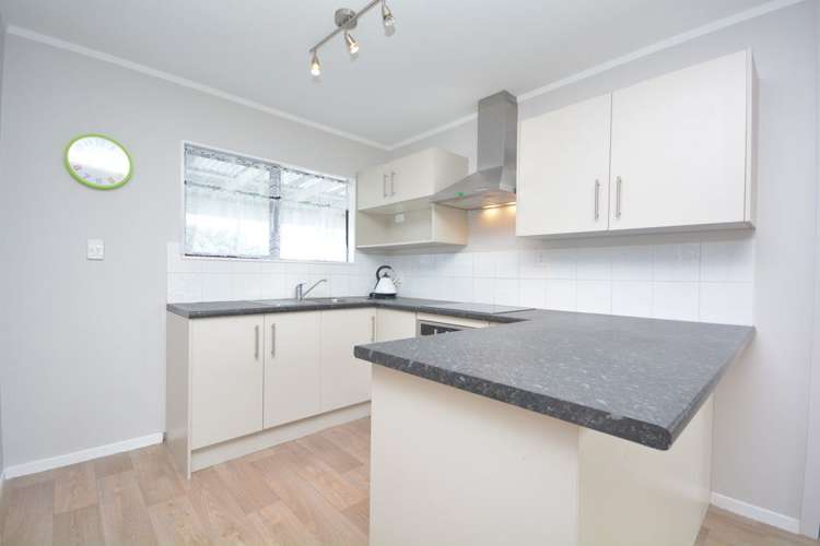 163 Finlayson Avenue Clendon Park_3