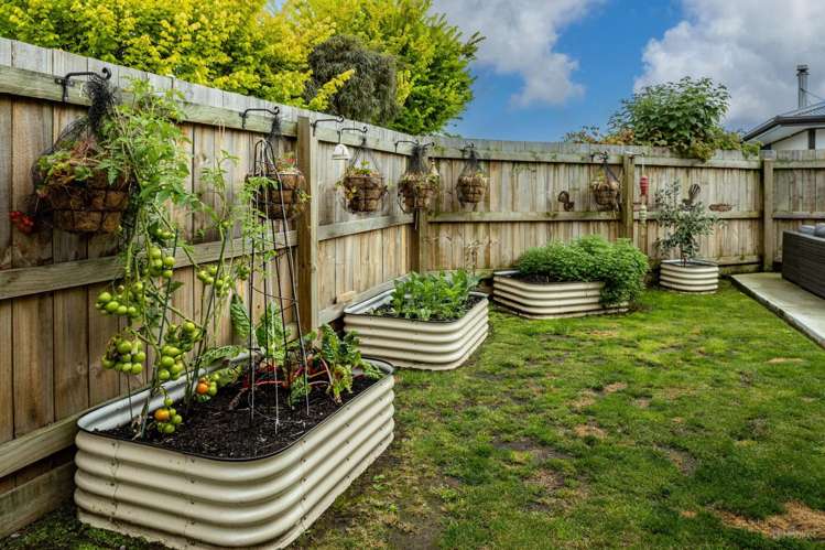 5 South Terrace Road Geraldine_15