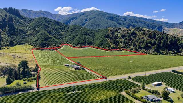 Dual titles create multiple options and income