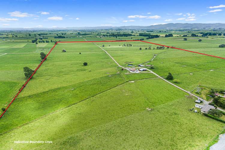 1779 Gordonton Road Taupiri_1