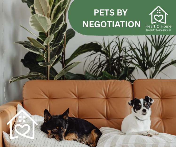 1e/68 Greys Avenue Auckland Central_17