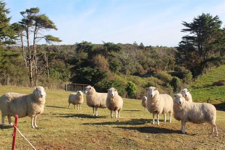 1000 Wilsons Lead Road Cape Foulwind_15