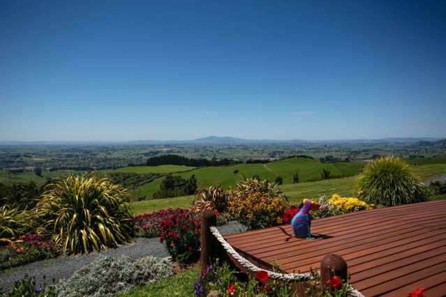 1/407 Sainsbury Road Pirongia_3