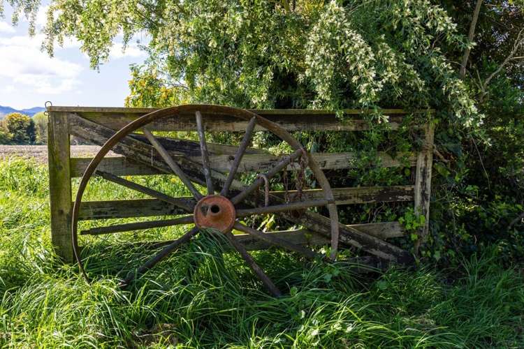 150 Selmes Road Rapaura_26