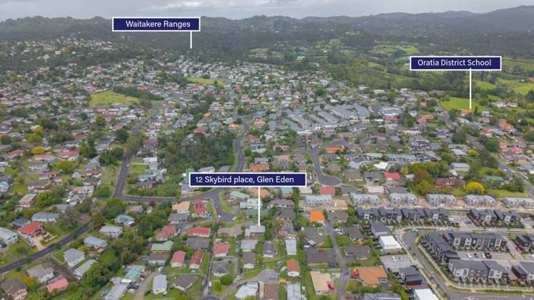 12 Skybird Place Glen Eden_13