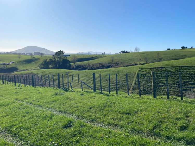 84 Tihiroa Road Otorohanga_14