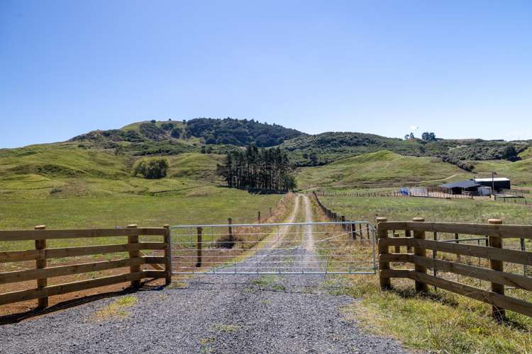 356 Klondyke Road Onewhero_12