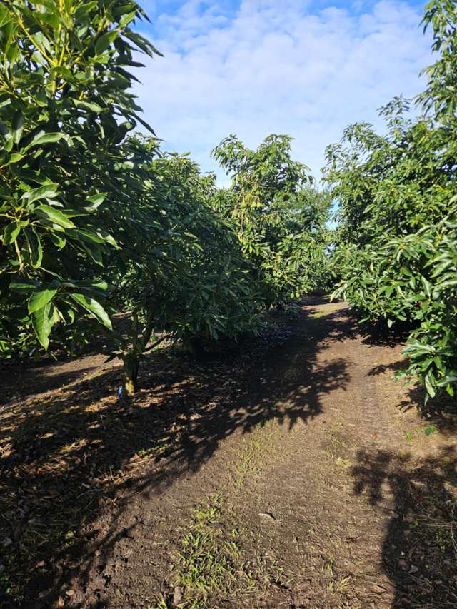 Heath Road Waiharara_3