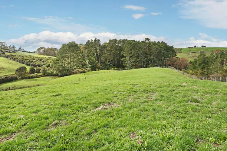 45 Brewster Road Pukekawa_17