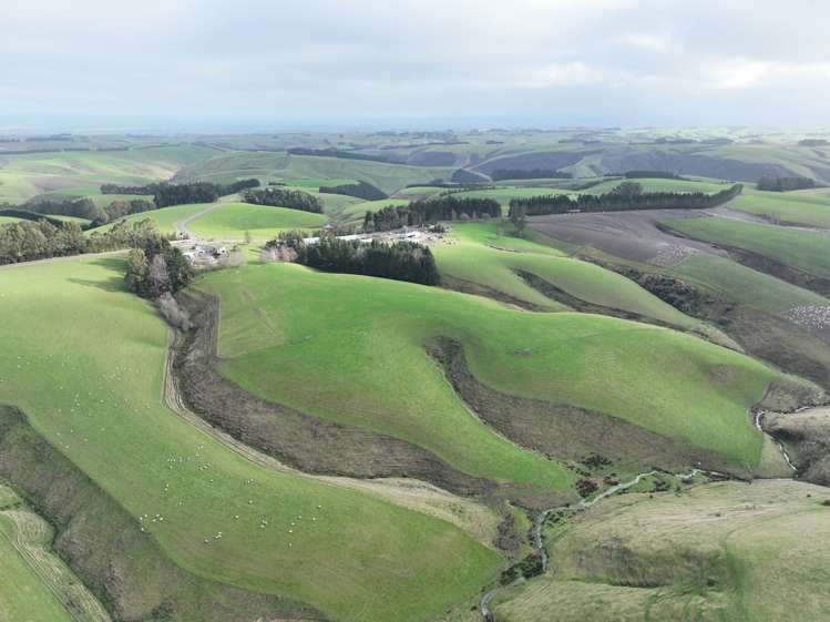 174 Mcculloch Road Balclutha_19