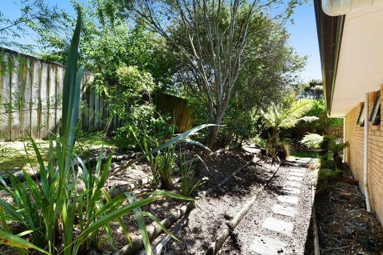 65 Cabeleigh Drive Helensville_8