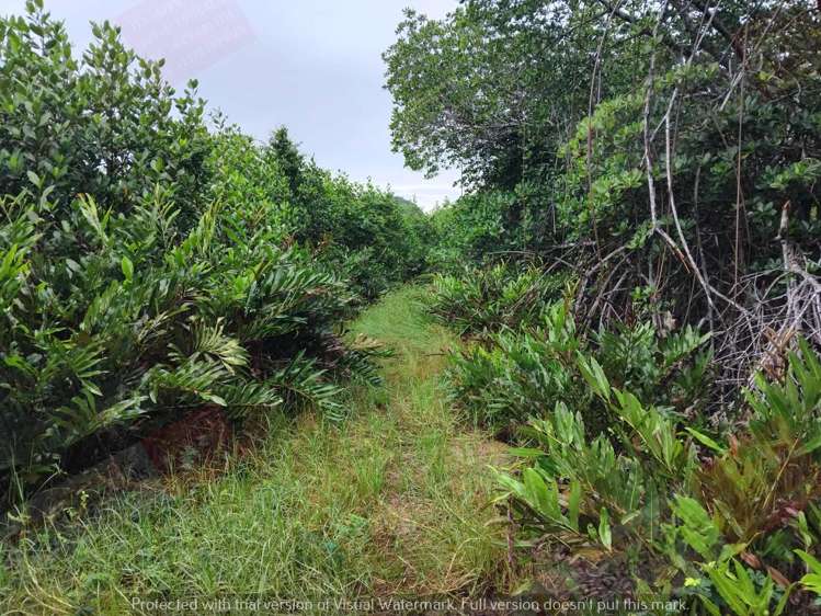 Address withheld Labasa_5