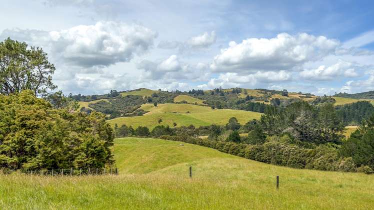 551 Kaiaua Road Kaiaua_2