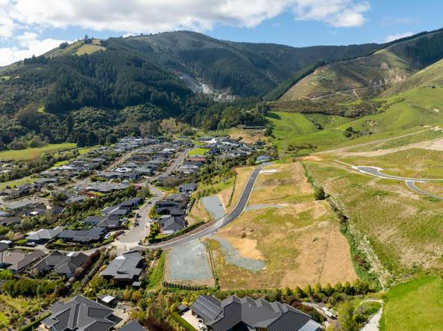 Ayrburn Lane Subdivision Stoke_3