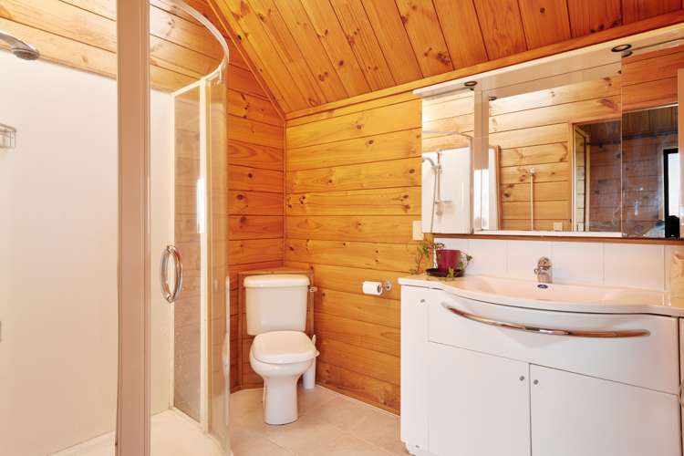 155 Woolrich Road Te Kowhai_11