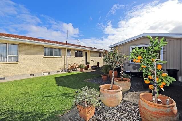 4 Skerrett Crescent Tamatea_4