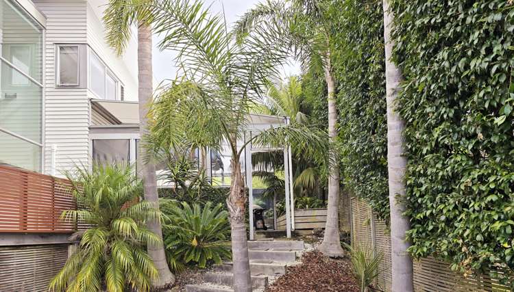 87 Castor Bay Road Castor Bay_28