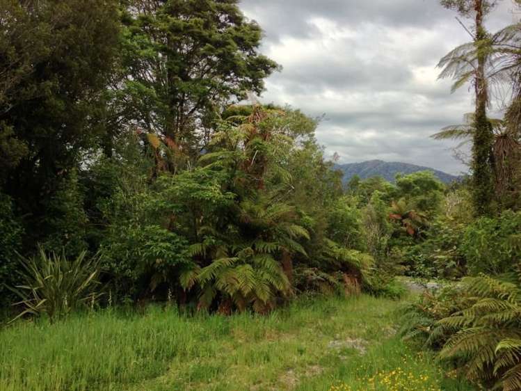 7 Punga Grove Lake Kaniere_17