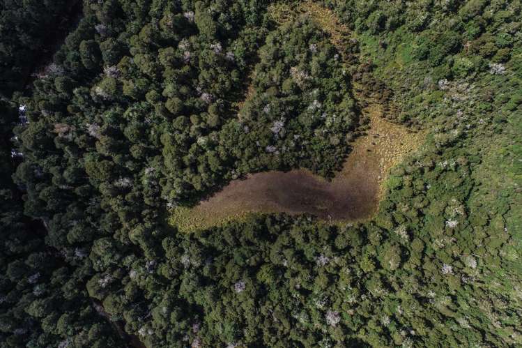 Tadmor-Glenhope Road Tasman_9