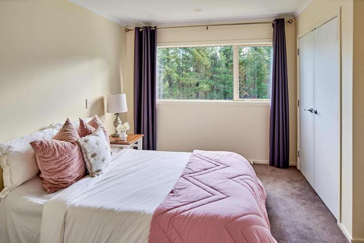 999 Moonshine Road Judgeford_16