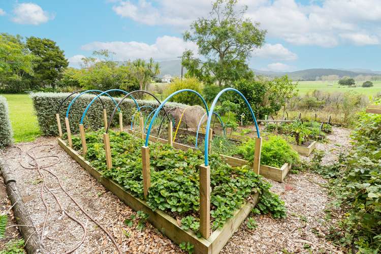 2433 Mangakahia Road Pakotai_27