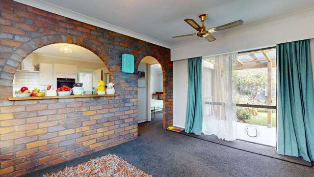 122 Elizabeth Avenue Rakaia_4