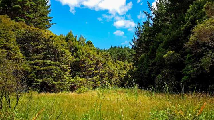 3211 Russell Road Whangaruru_10