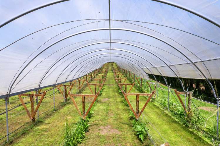 54 Sinclair Road Whakamarama_17