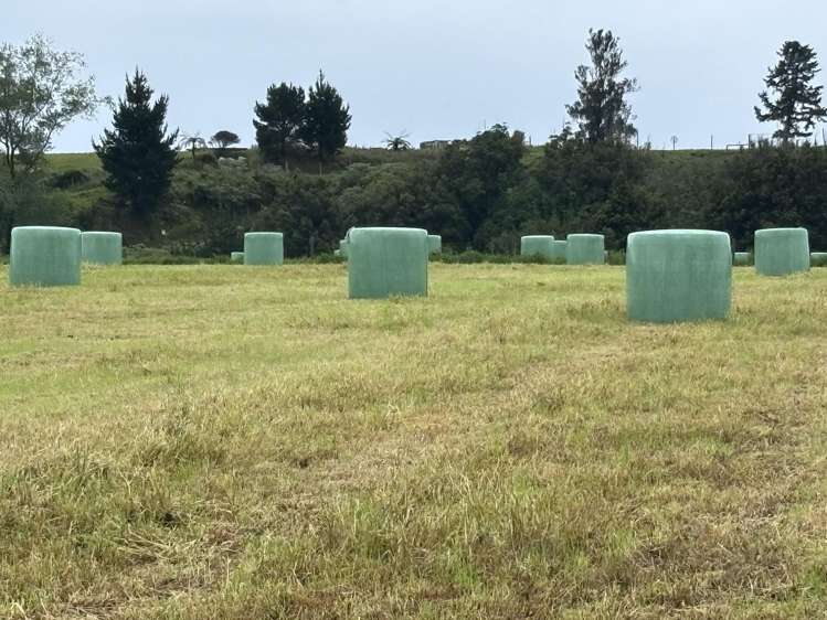 163 Ohanga Road Onaero_1