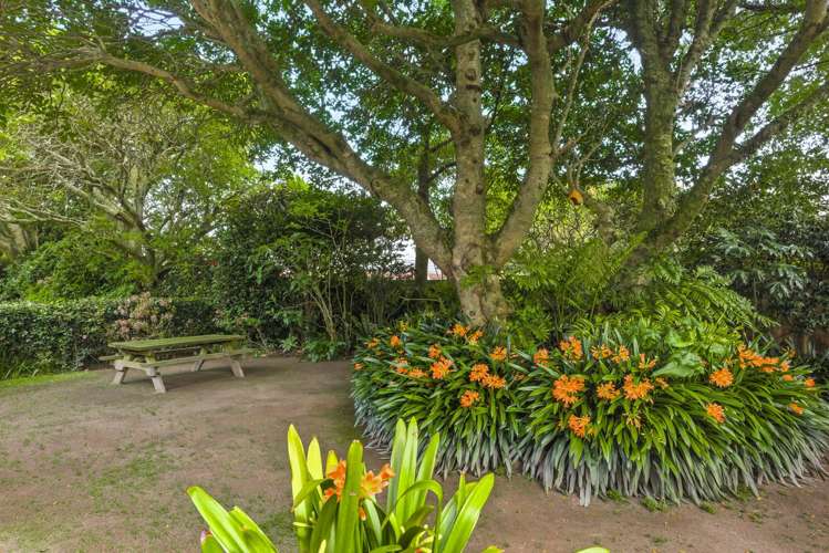 335 Te Moana Road Waikanae_27