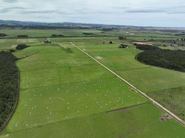 Gorge Road Gorge Road_3