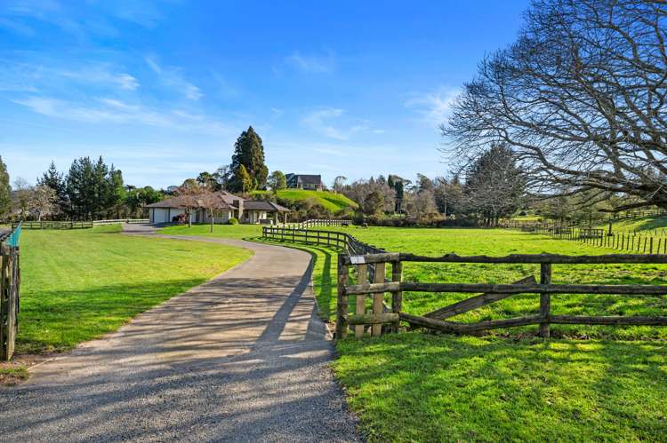 7 Ascot Vale Tikitere_3