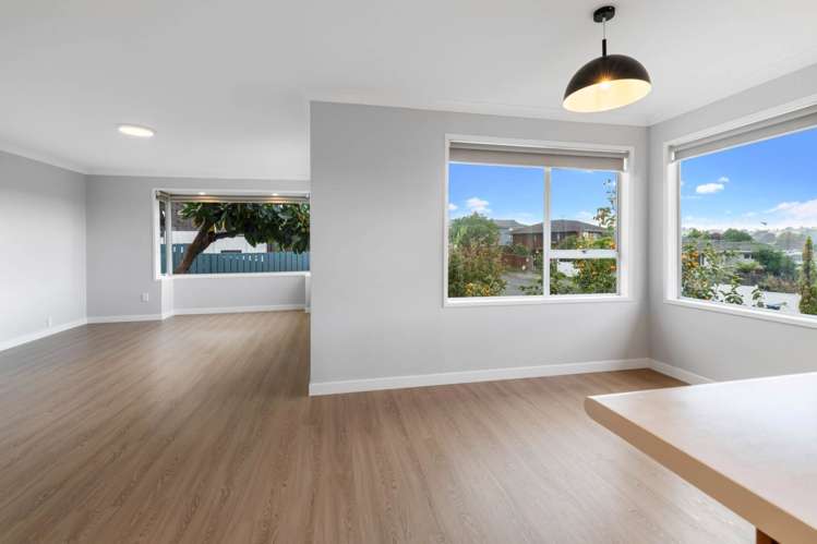 Mcfarland Street Remuera_3