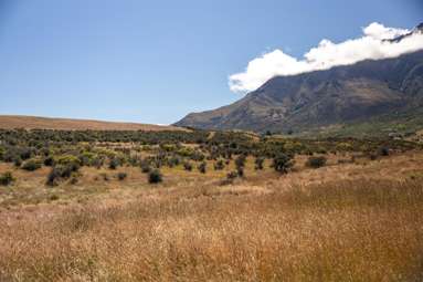 3 Tableland Drive, The Preserve_4