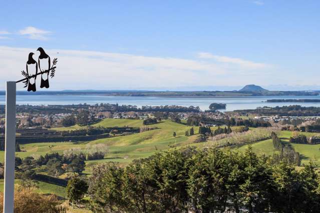 345A Lindemann Road Katikati_4