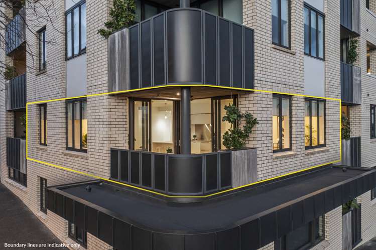 204/23a Pollen Street Grey Lynn_13