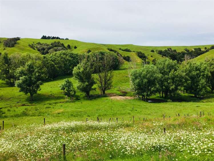 70 Churton Road Kaingaroa_16