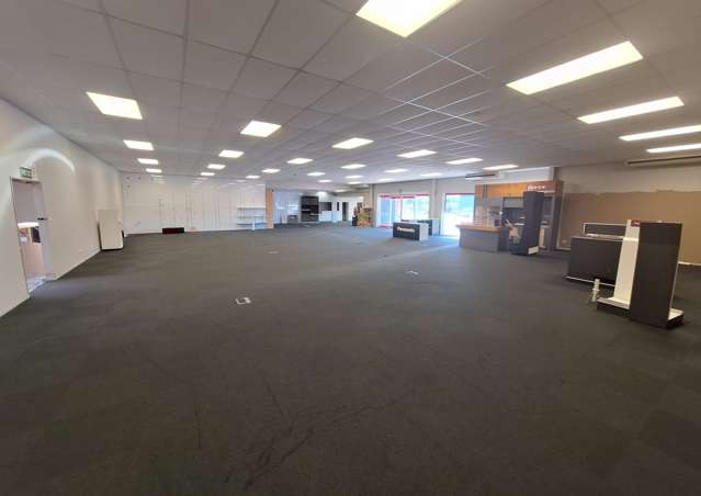 86 Gill Street New Plymouth_4