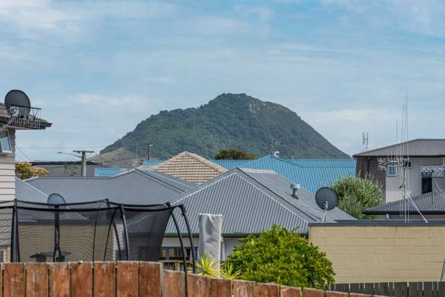 17 Macville Road Mount Maunganui_1