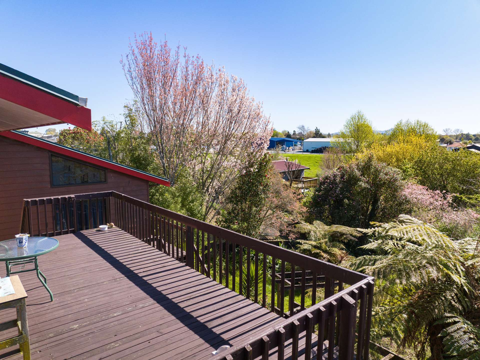 21 Anderson Street Putaruru_0