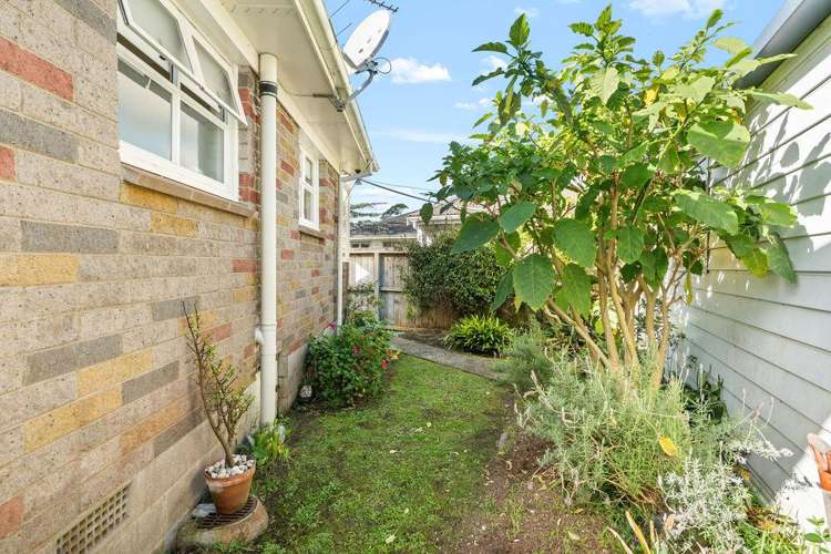 203 Parkhurst Road, Parakai Helensville_34