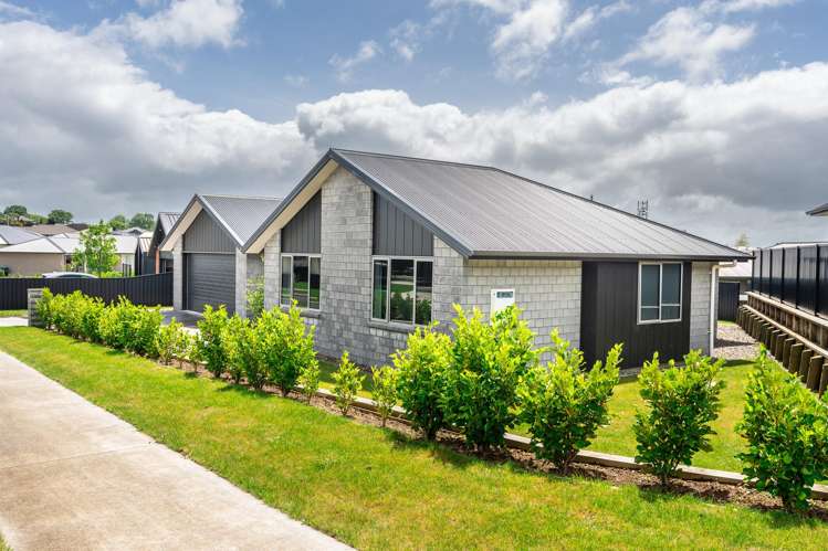 241 Page Crescent Te Awamutu_11
