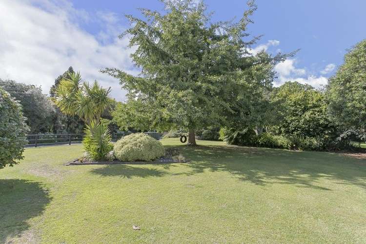325 Snodgrass Road Te Puna_5