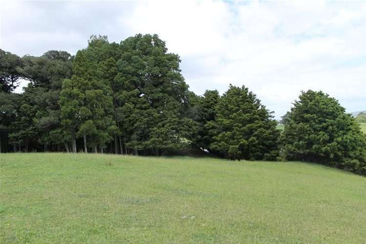 243c Mountain Road Maungaturoto_15