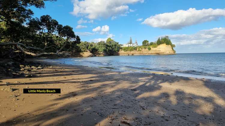 4a Tiri Road Manly_6