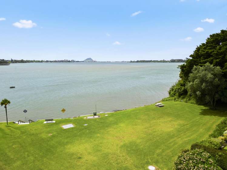 24 Anchorage Grove Maungatapu_70