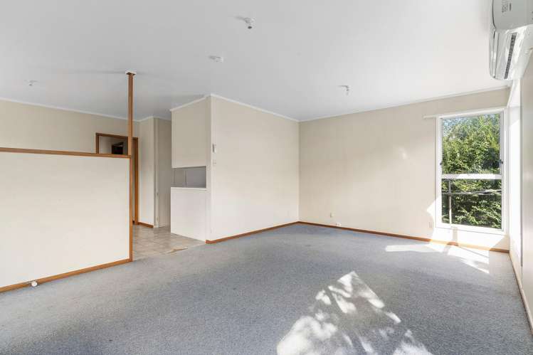 33 Japonica Drive Beach Haven_5